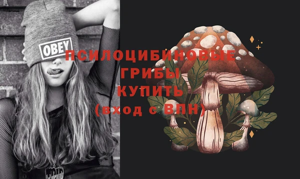 мяу мяу мука Алексеевка