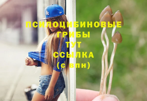 марки nbome Ельня