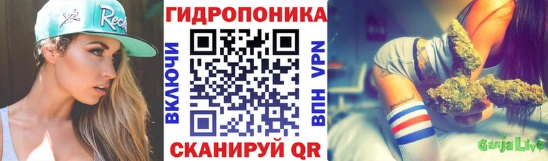 Бошки марихуана SATIVA & INDICA  OMG как войти  Гаджиево 